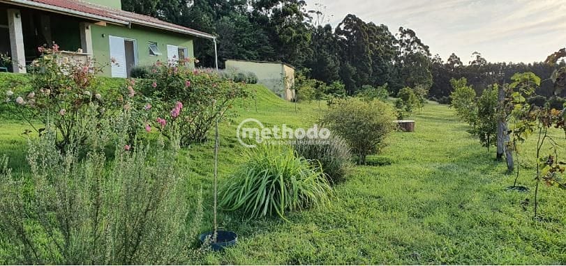 Sítio, 5 quartos, 4 hectares - Foto 31