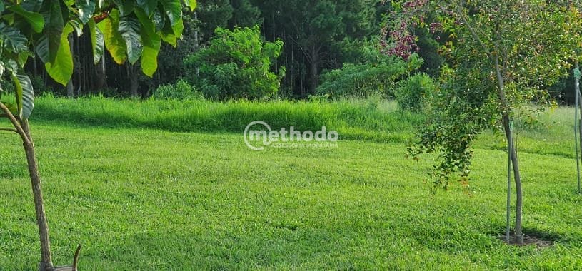 Sítio, 5 quartos, 4 hectares - Foto 66