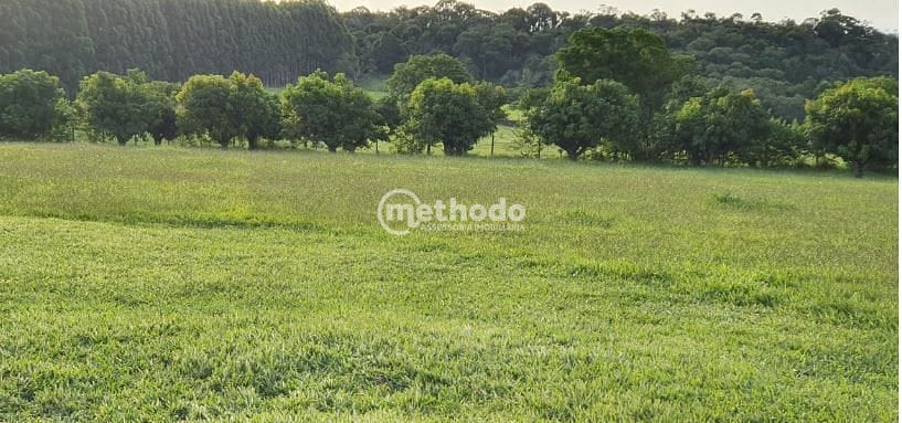 Sítio, 5 quartos, 4 hectares - Foto 64