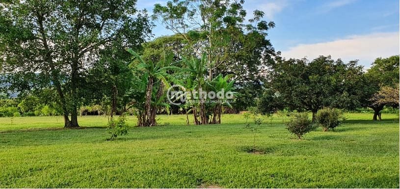 Sítio, 5 quartos, 4 hectares - Foto 20