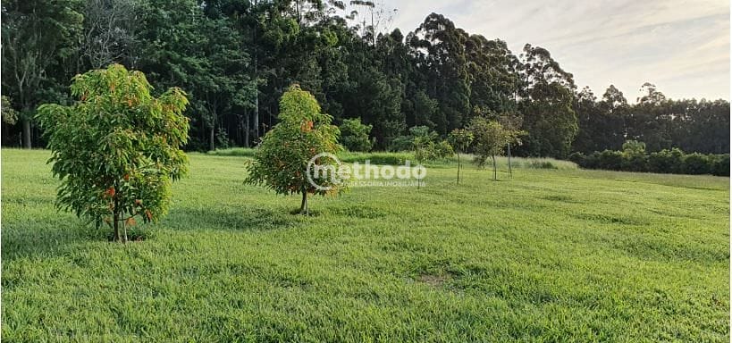 Sítio, 5 quartos, 4 hectares - Foto 44