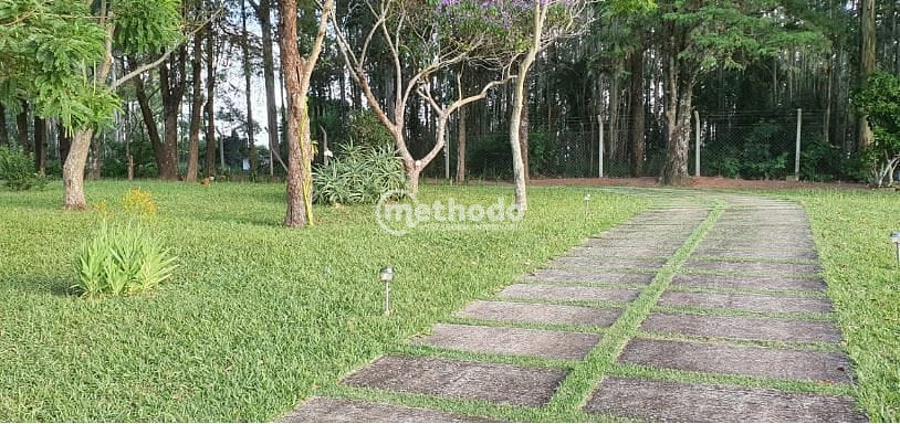 Sítio, 5 quartos, 4 hectares - Foto 14