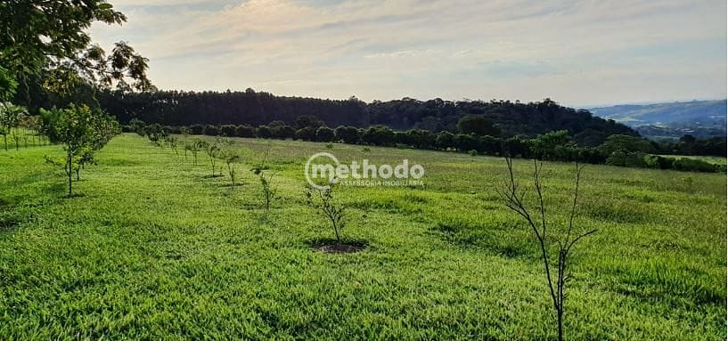 Sítio, 5 quartos, 4 hectares - Foto 26