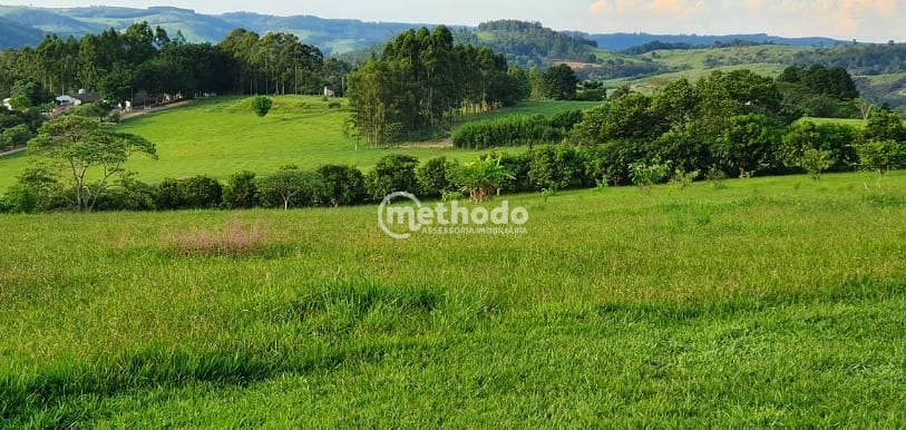 Sítio, 5 quartos, 4 hectares - Foto 68