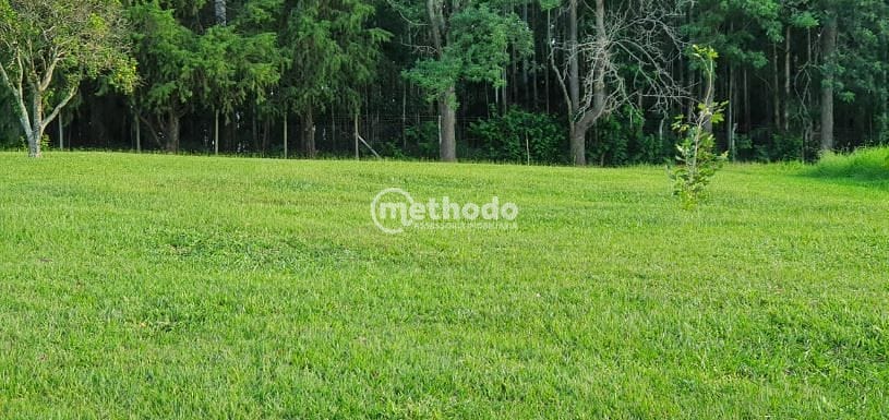 Sítio, 5 quartos, 4 hectares - Foto 67