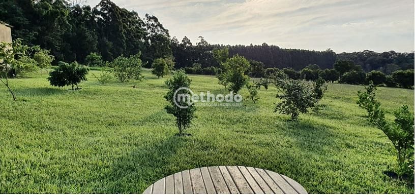 Sítio, 5 quartos, 4 hectares - Foto 37