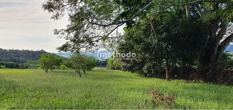 Sítio, 5 quartos, 4 hectares - Foto 23