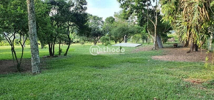 Sítio, 5 quartos, 4 hectares - Foto 19