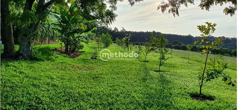 Sítio, 5 quartos, 4 hectares - Foto 28