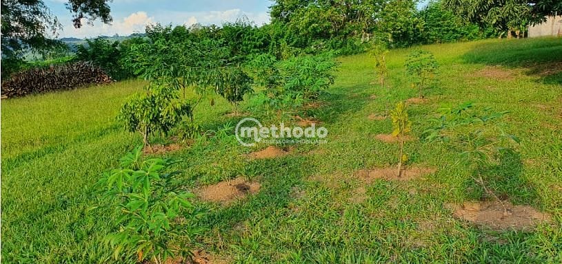 Sítio, 5 quartos, 4 hectares - Foto 24