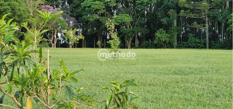 Sítio, 5 quartos, 4 hectares - Foto 69