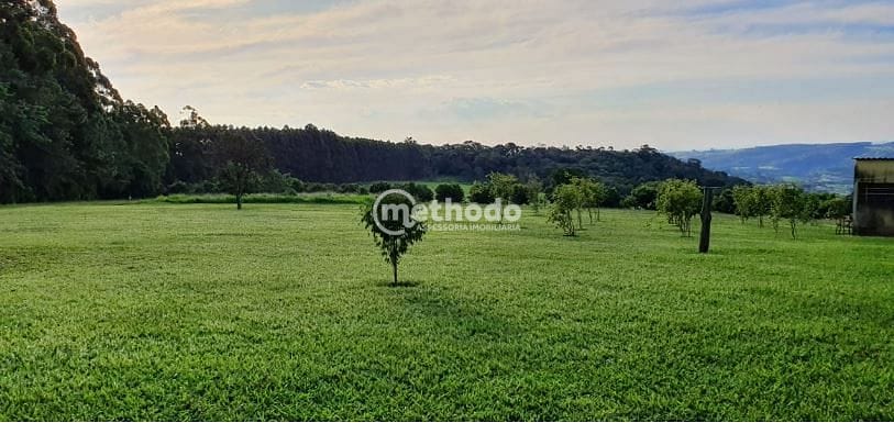 Sítio, 5 quartos, 4 hectares - Foto 17