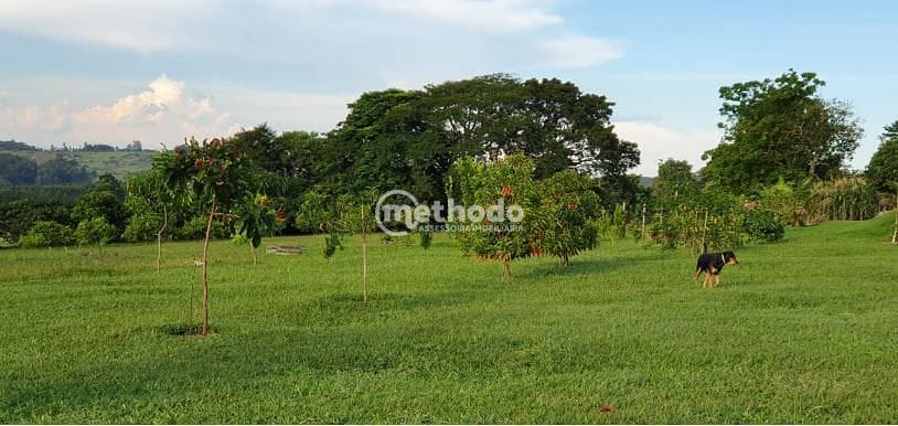 Sítio, 5 quartos, 4 hectares - Foto 49