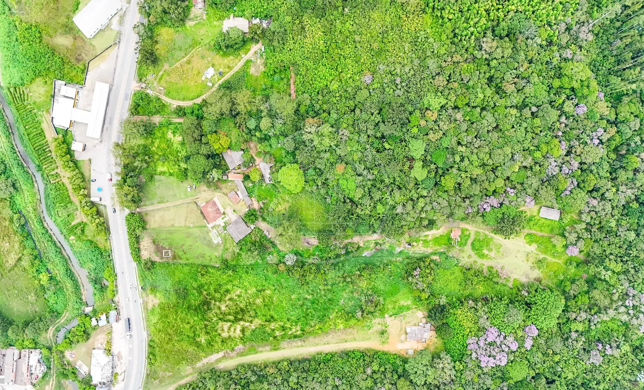 Fazenda, 4 hectares - Foto 22