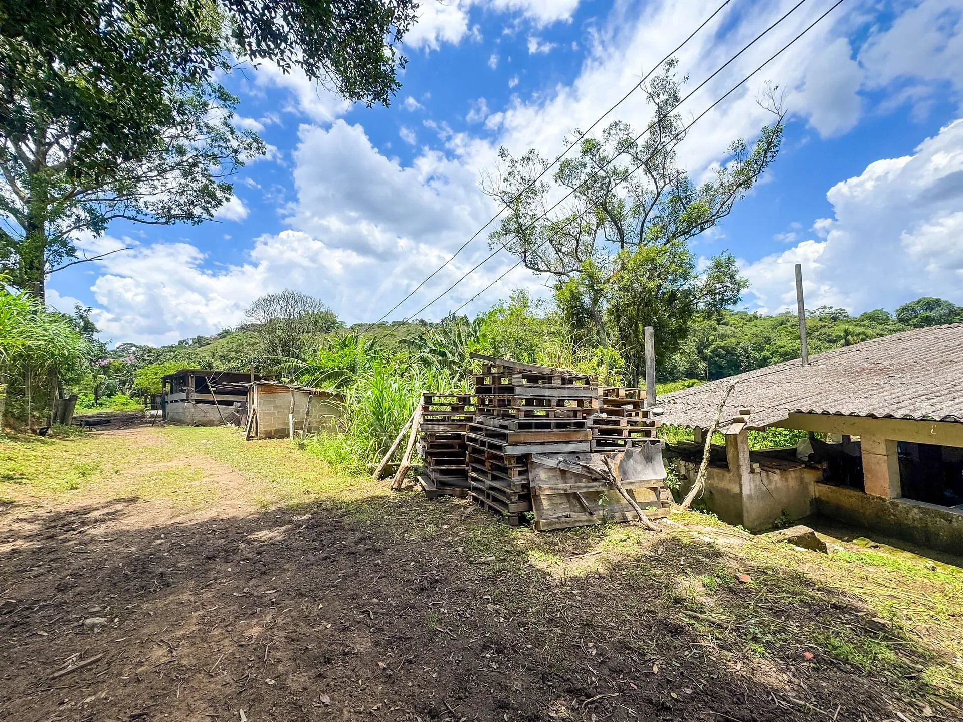 Fazenda, 4 hectares - Foto 9