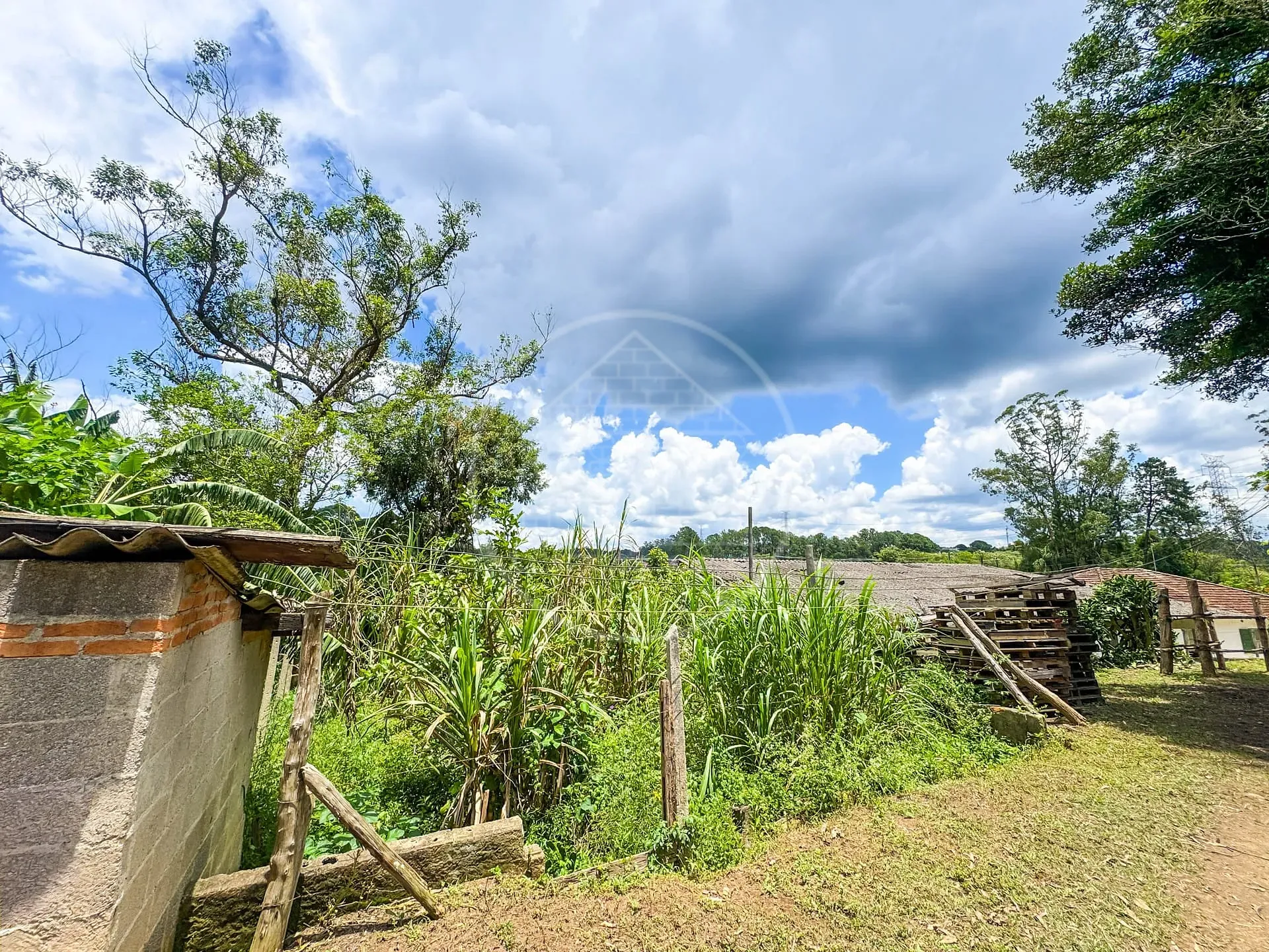 Fazenda, 4 hectares - Foto 10