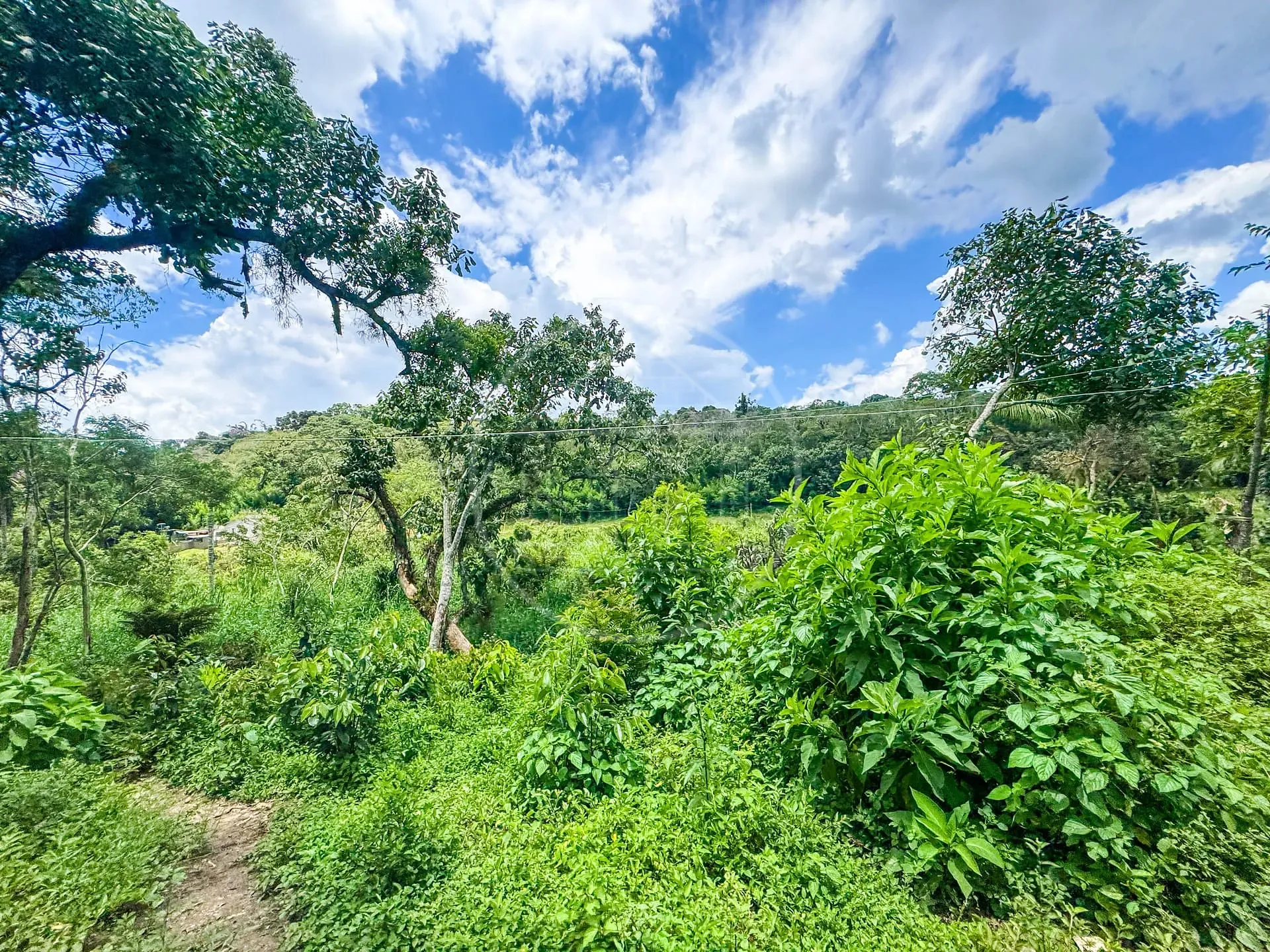 Fazenda, 4 hectares - Foto 11