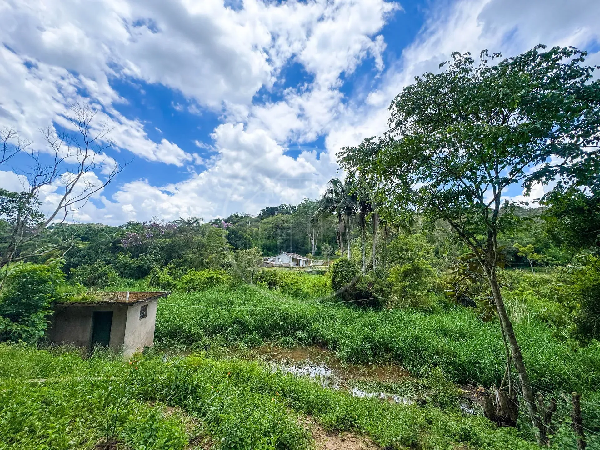 Fazenda, 4 hectares - Foto 12