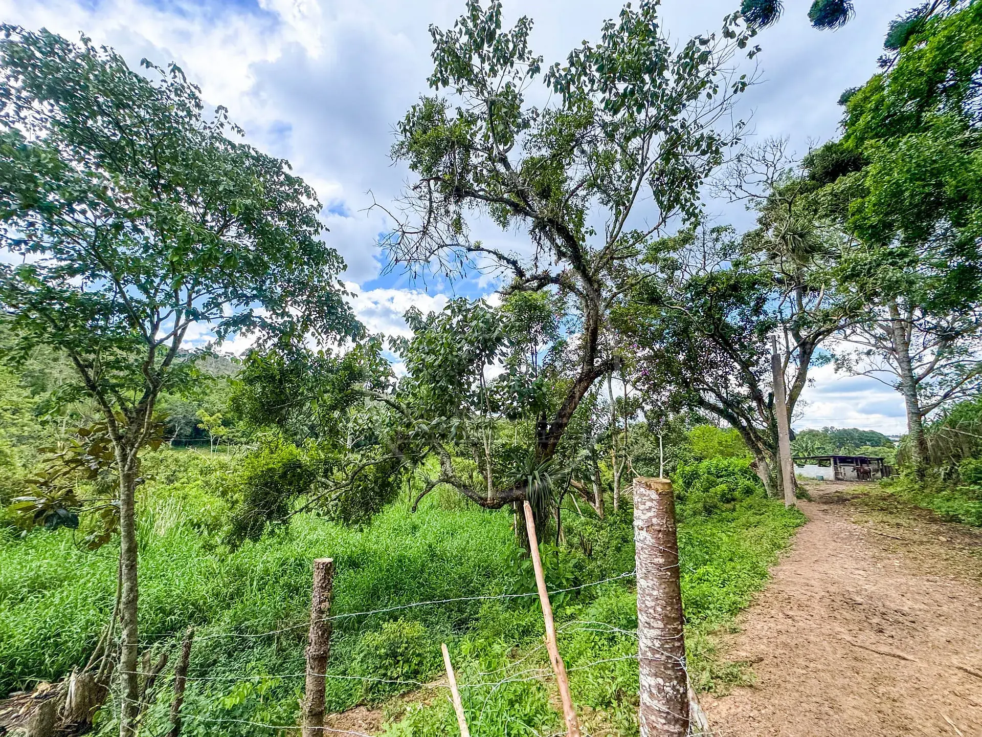 Fazenda, 4 hectares - Foto 13