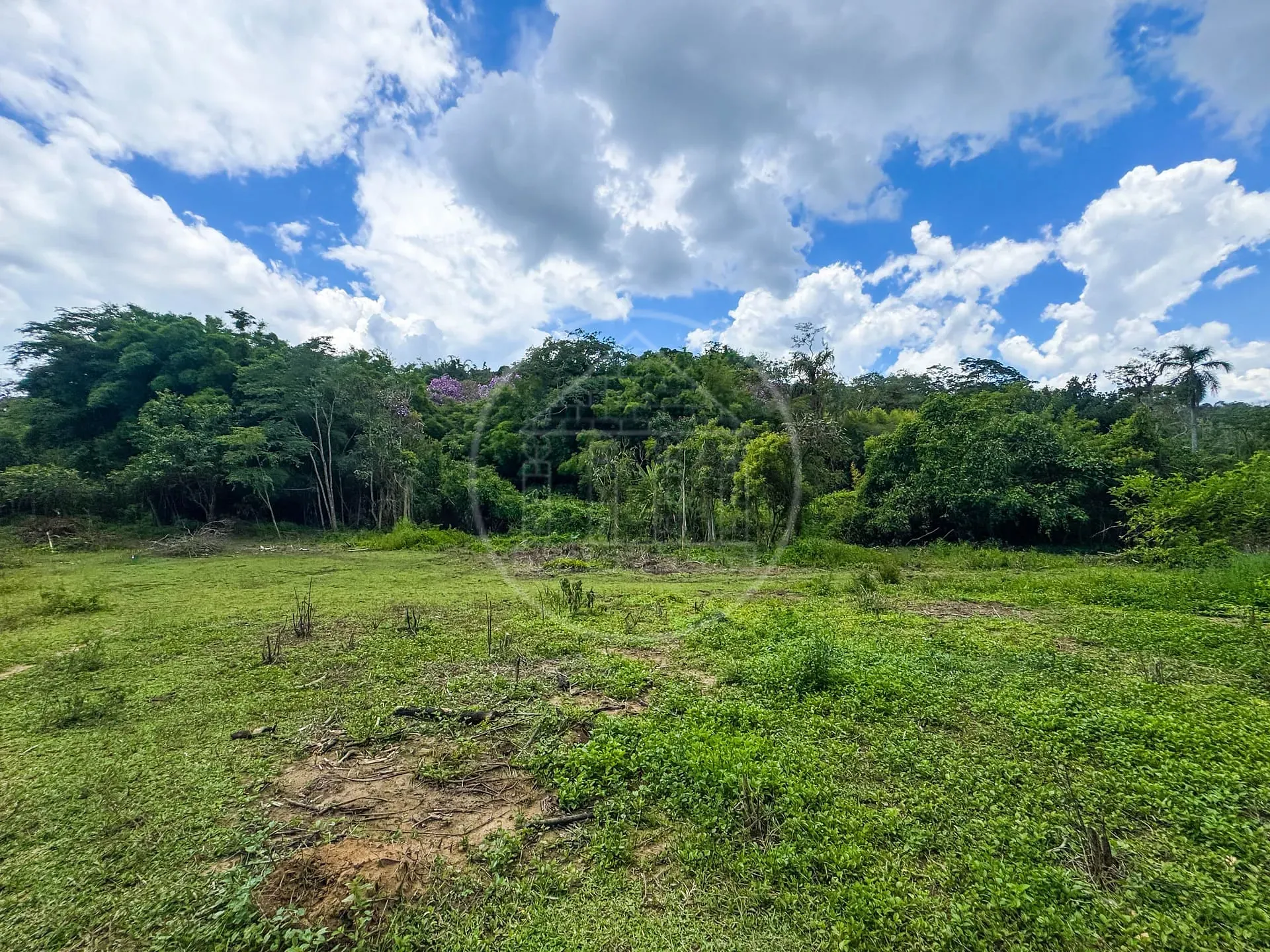 Fazenda, 4 hectares - Foto 15