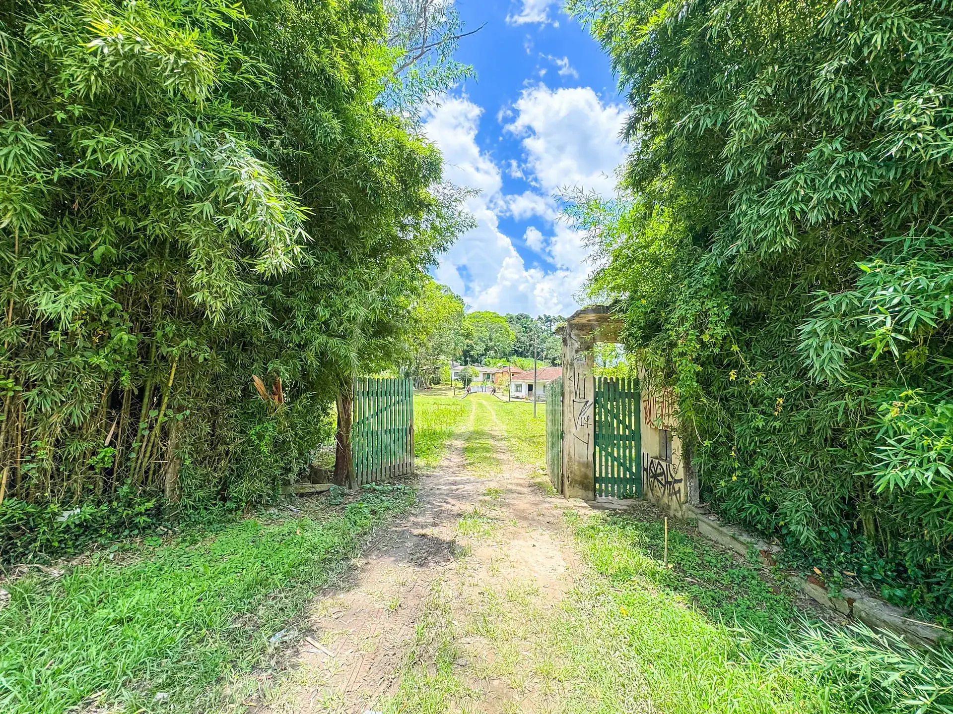 Fazenda, 4 hectares - Foto 17