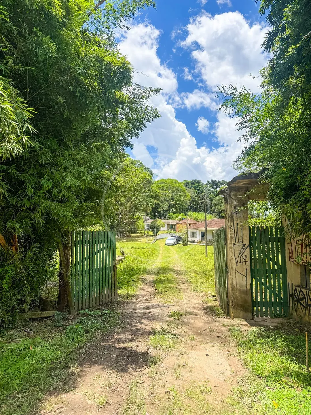 Fazenda, 4 hectares - Foto 18