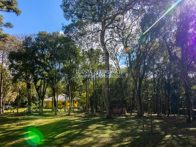 Chácara com 6080m² 3 quartos e 4 banheiros, à venda, no bairro Borda do Campo em São José dos Pinhais