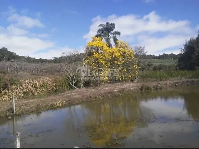 Sítio com 147000m² 3 quartos e 1 banheiro, à venda, no bairro Pomar do Carmo em Biritiba-Mirim