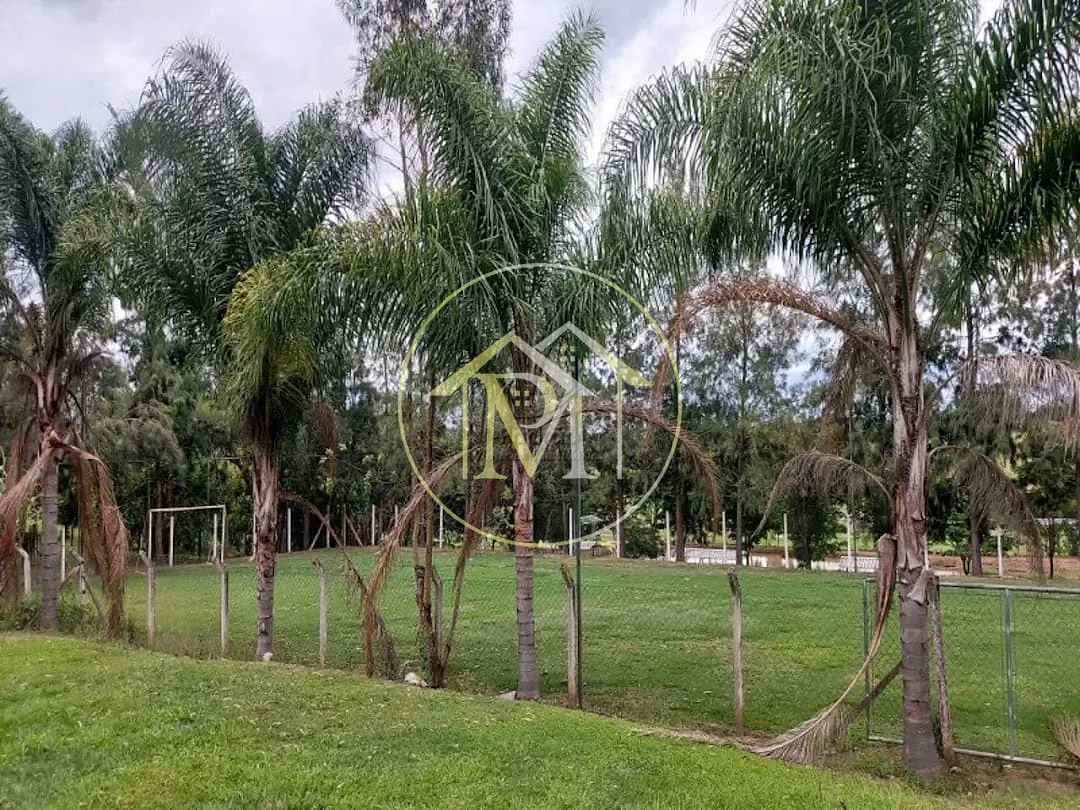 Sítio, 3 quartos, 7 hectares - Foto 7