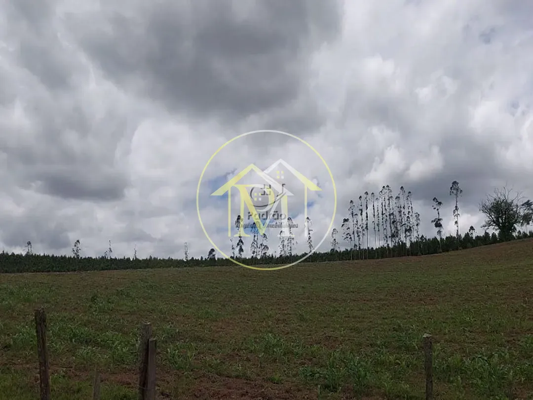 Sítio, 3 quartos, 7 hectares - Foto 32