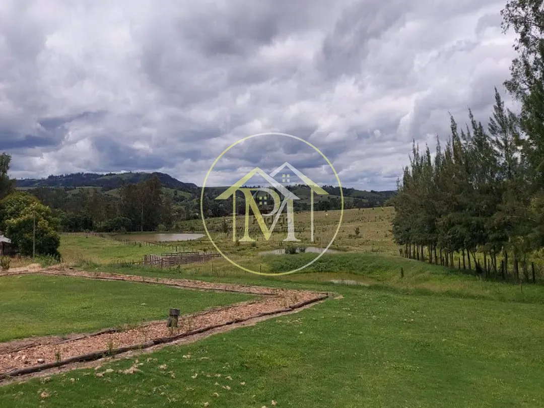 Sítio, 3 quartos, 7 hectares - Foto 34