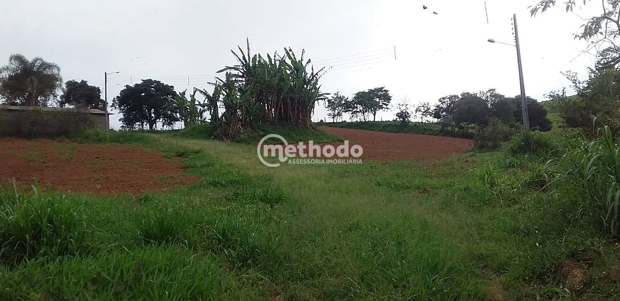 Sítio, 3 quartos, 4 hectares - Foto 29