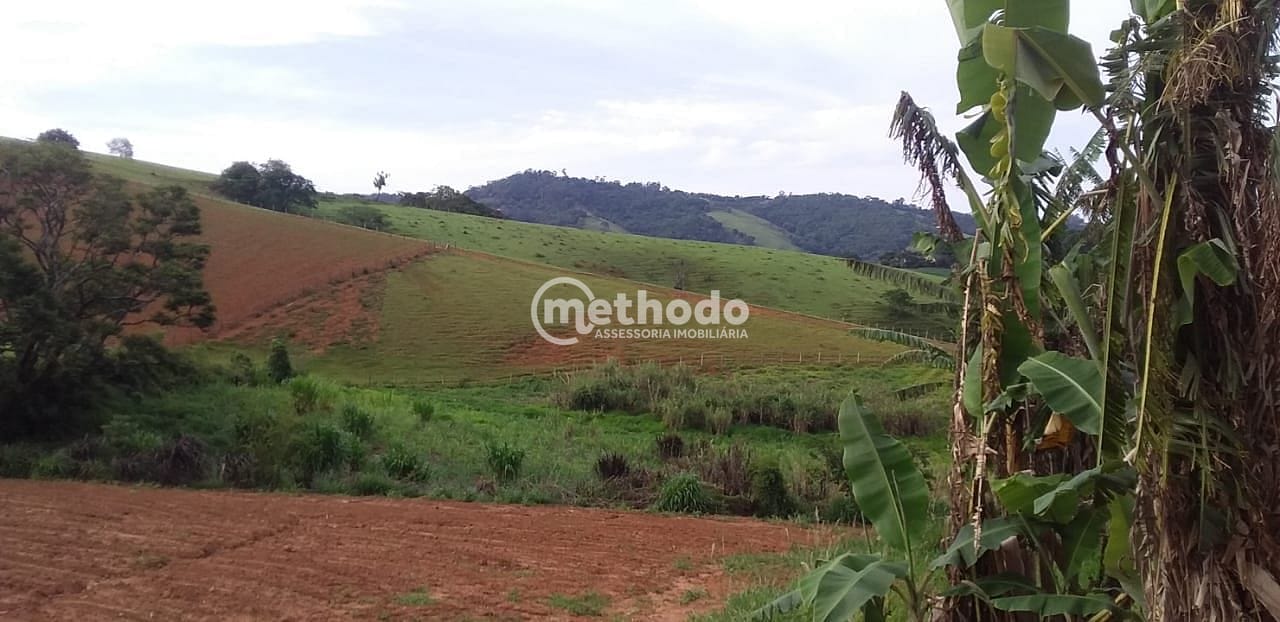 Sítio, 3 quartos, 4 hectares - Foto 23