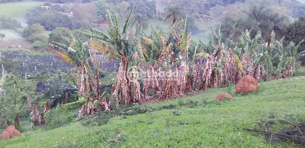 Sítio, 3 quartos, 4 hectares - Foto 18