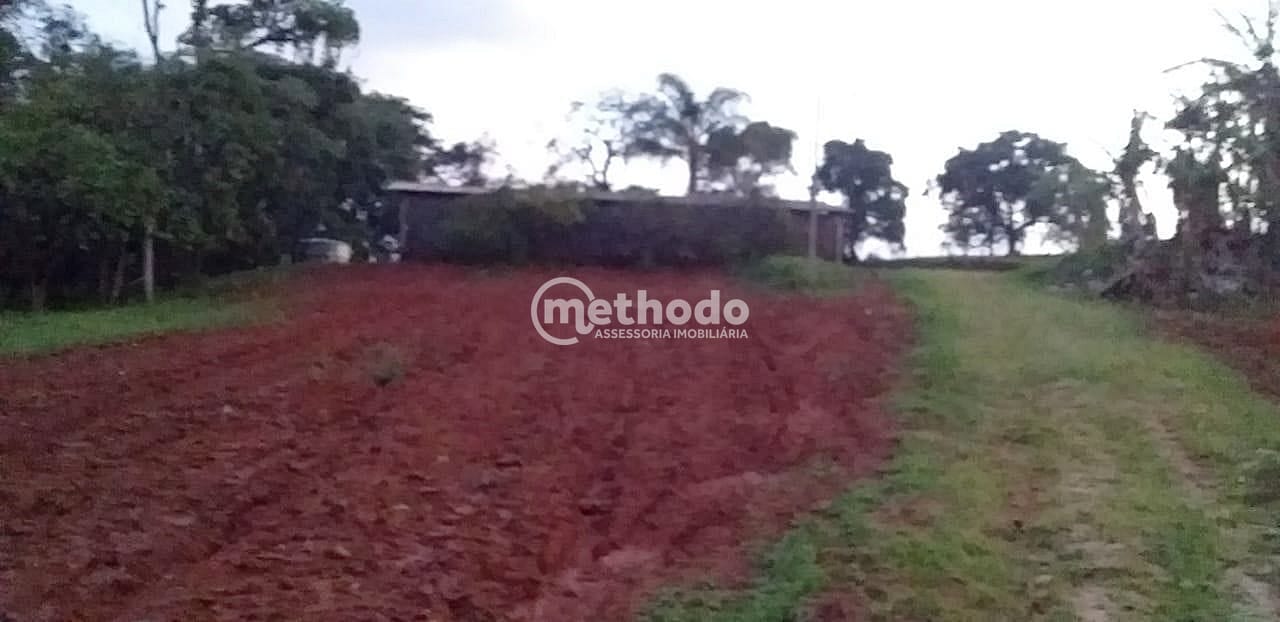 Sítio, 3 quartos, 4 hectares - Foto 34