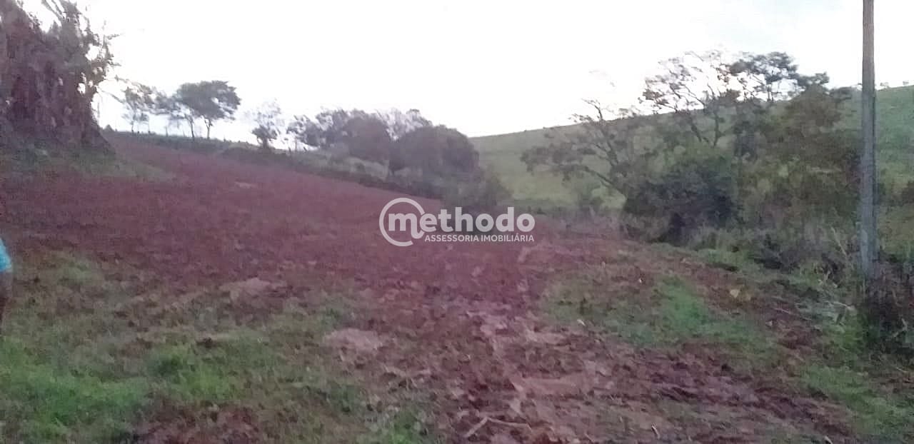 Sítio, 3 quartos, 4 hectares - Foto 30