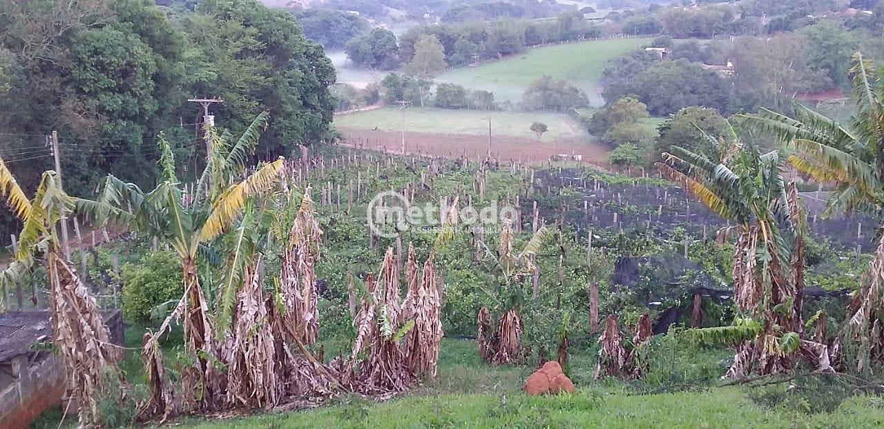 Sítio, 3 quartos, 4 hectares - Foto 33