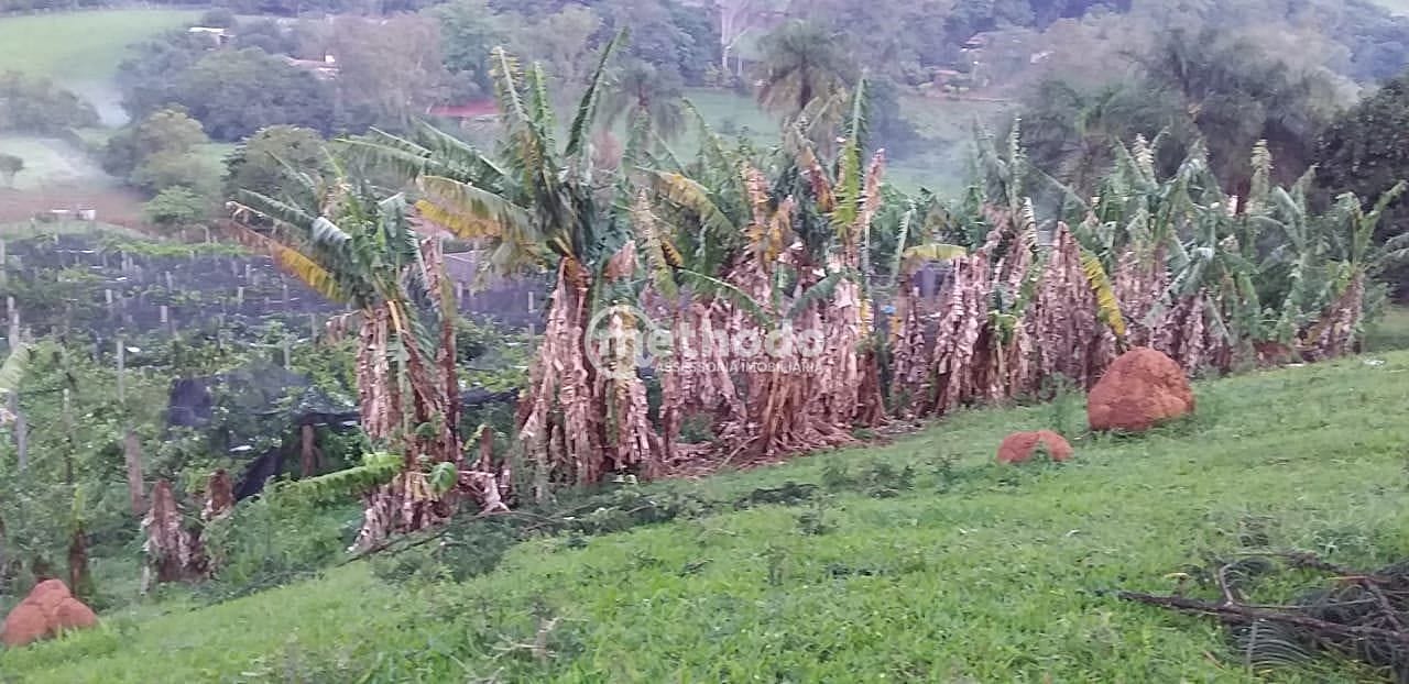 Sítio, 3 quartos, 4 hectares - Foto 35