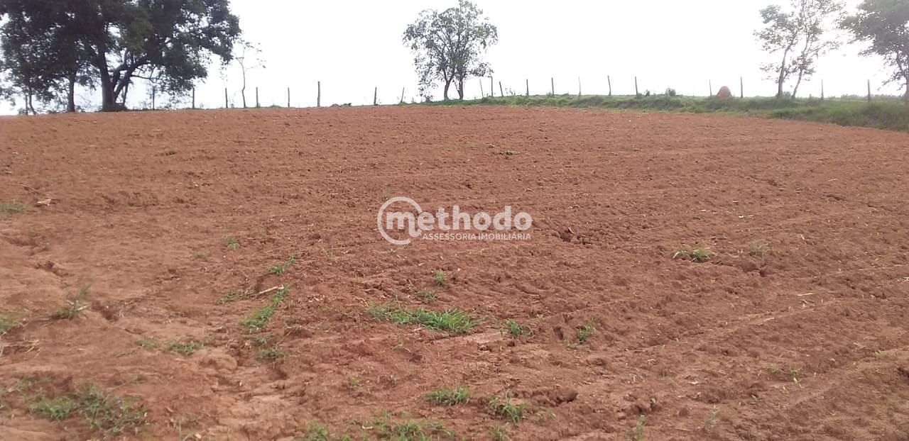 Sítio, 3 quartos, 4 hectares - Foto 27