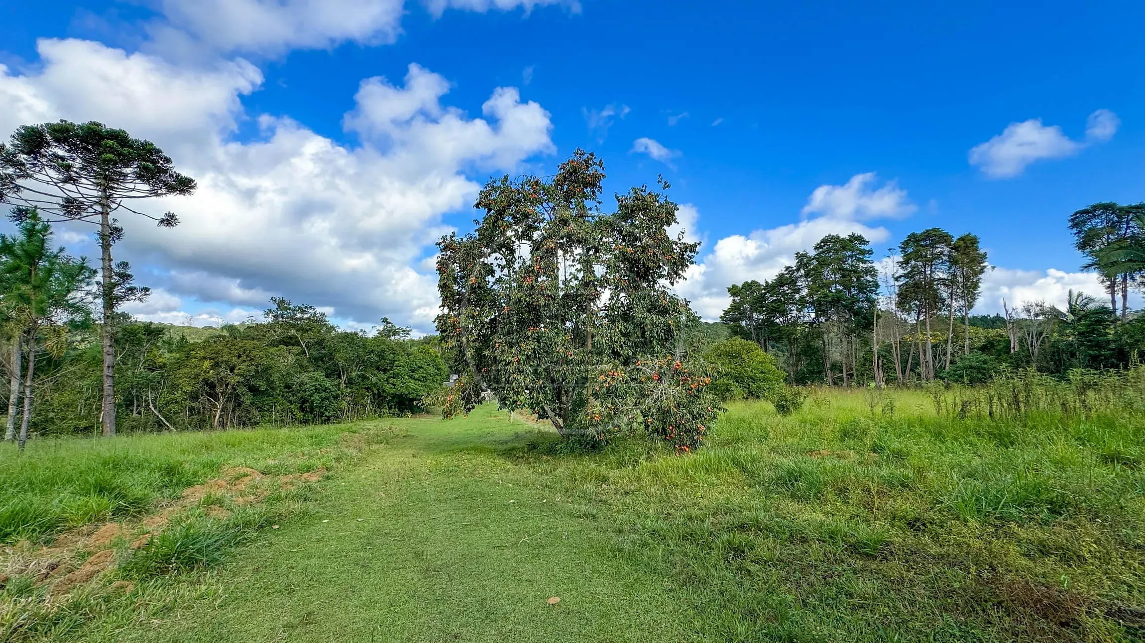 Fazenda, 300 m² - Foto 56