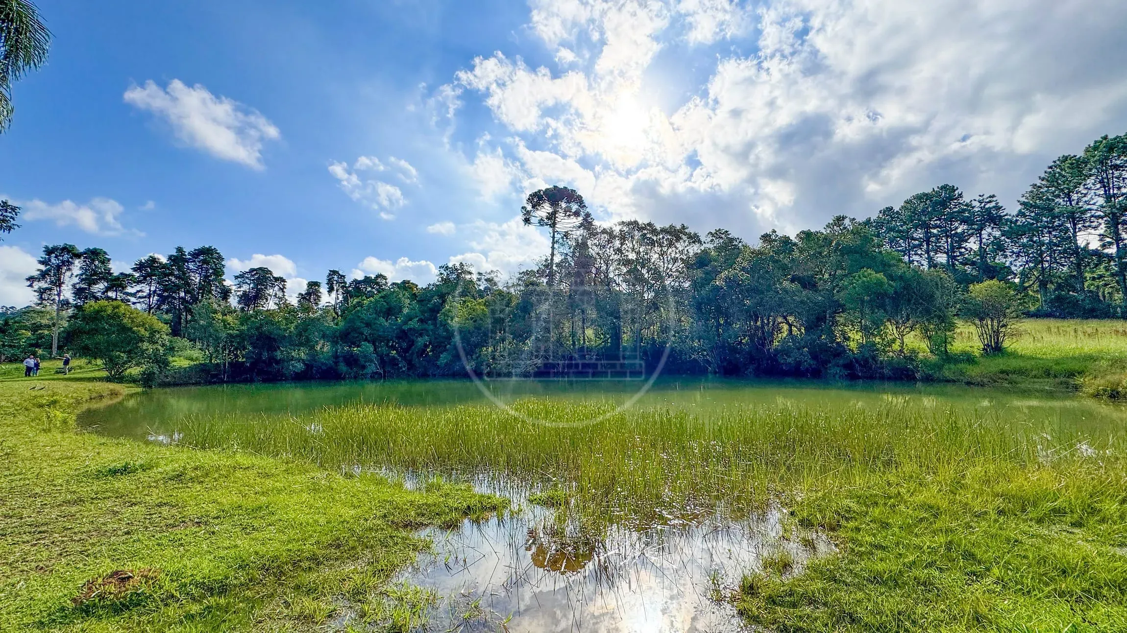 Fazenda, 300 m² - Foto 10