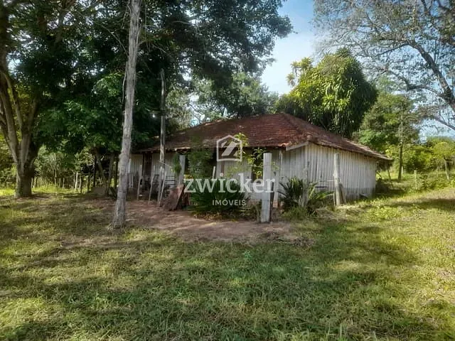 Sítio com 145200m² 1 quarto e 1 banheiro, à venda, no bairro Área Rural de Nogueira em Avaí