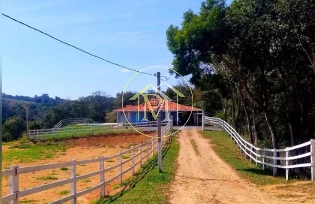 Sítio, 4 quartos, 2 hectares - Foto 15