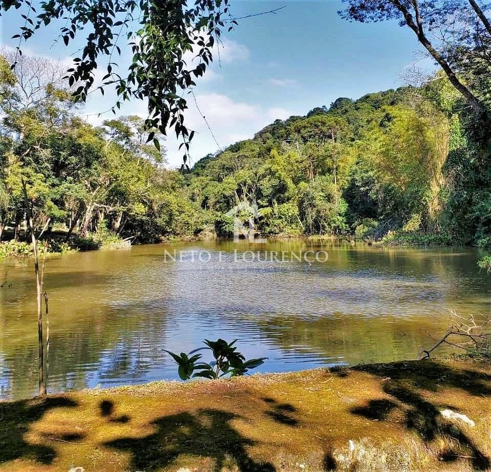 Sítio, 3 quartos, 10 hectares - Foto 3