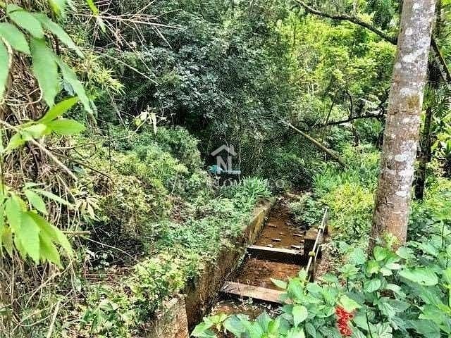 Sítio, 3 quartos, 10 hectares - Foto 11