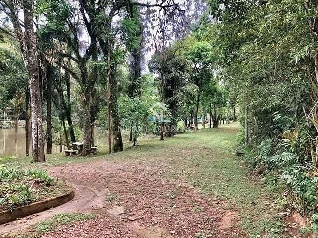 Sítio, 3 quartos, 10 hectares - Foto 18