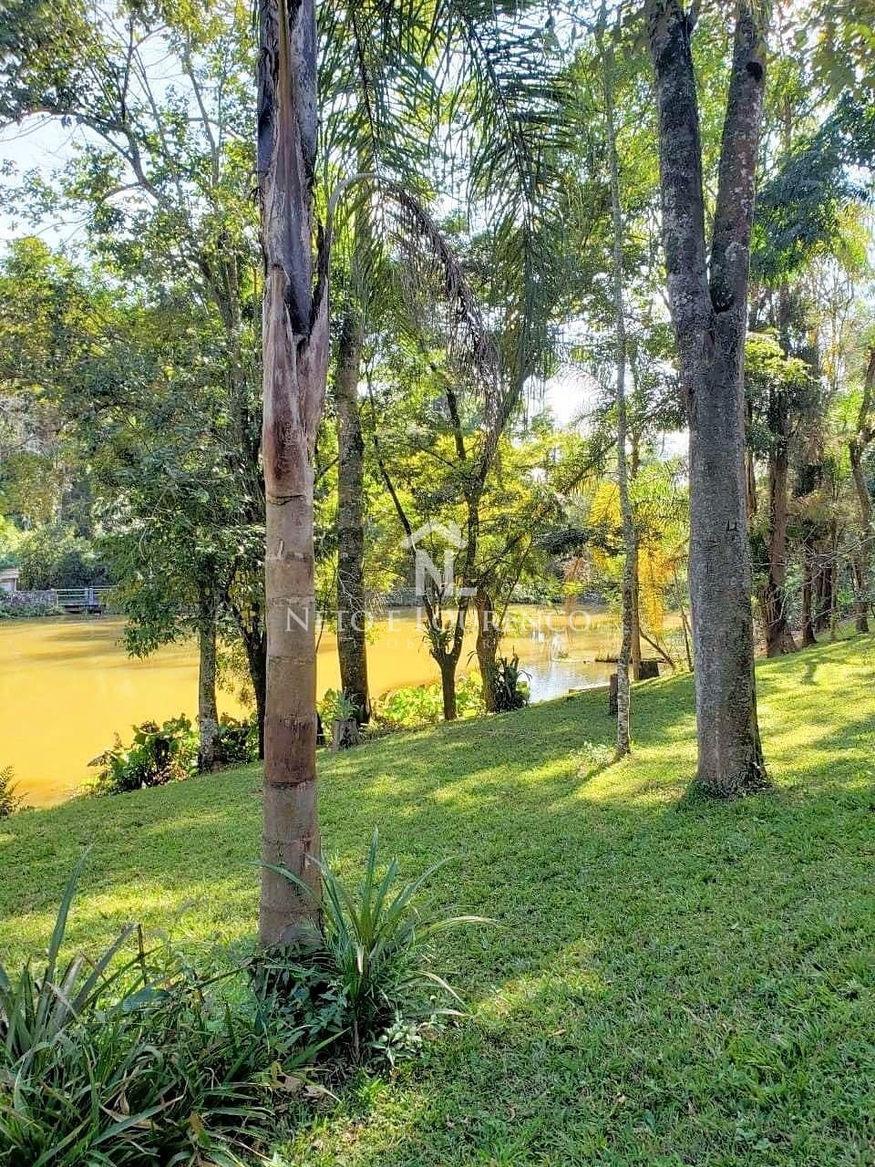 Sítio, 3 quartos, 10 hectares - Foto 1