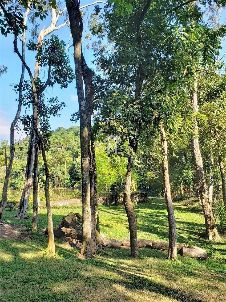 Sítio, 3 quartos, 10 hectares - Foto 4