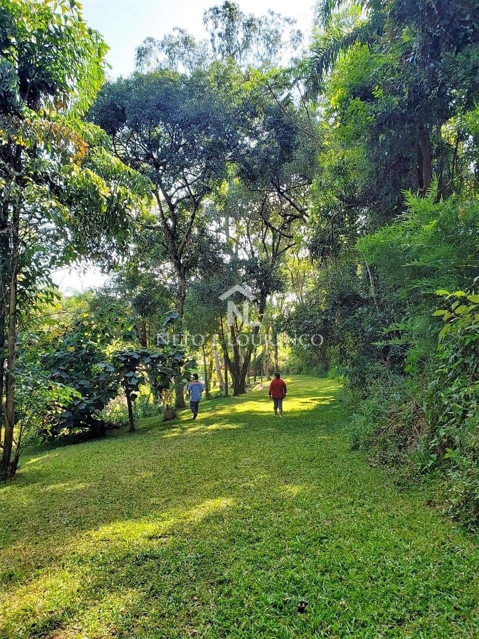 Sítio, 3 quartos, 10 hectares - Foto 2