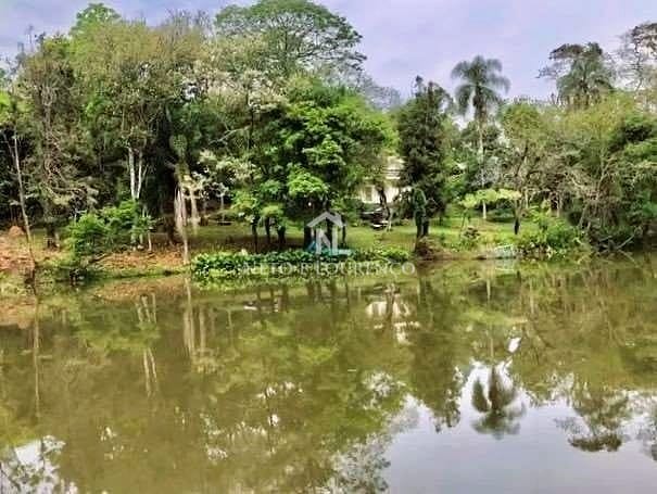 Sítio, 3 quartos, 10 hectares - Foto 6